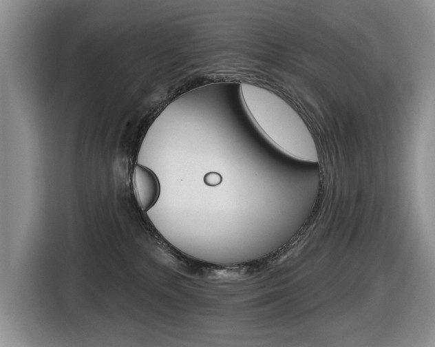 X0000116570232200912101010