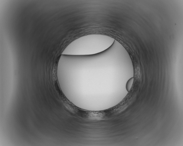 X0000116570234200912101010