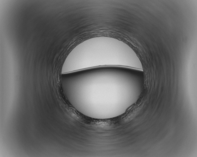 X0000116570236200912101010