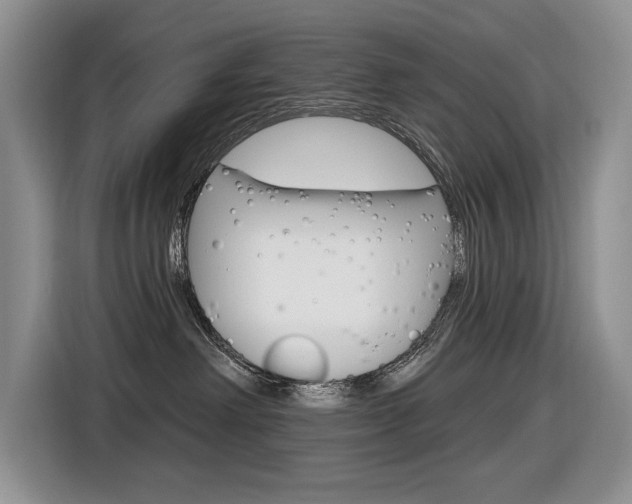 X0000116570238200912101009