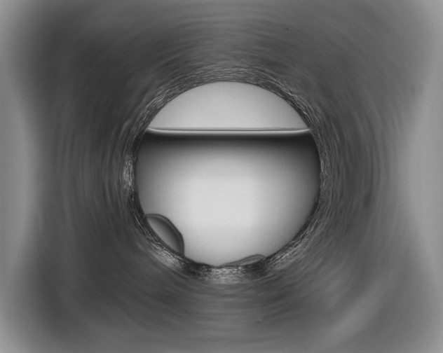 X0000116570240200912101009