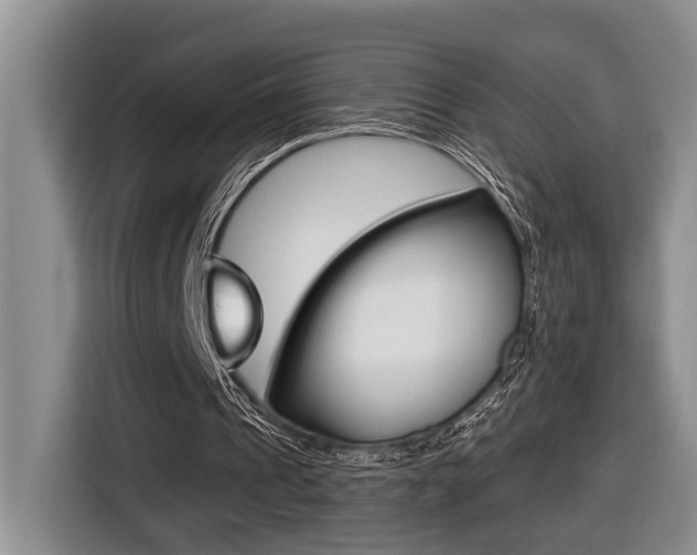 X0000116570241200912101009