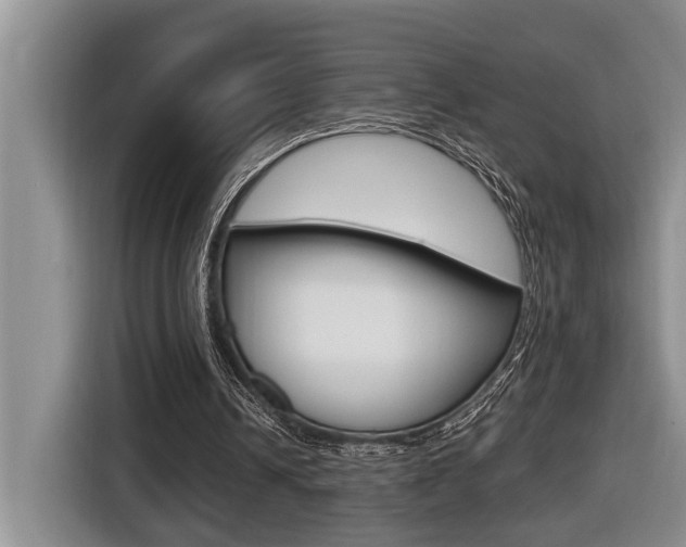 X0000116570242200912101009