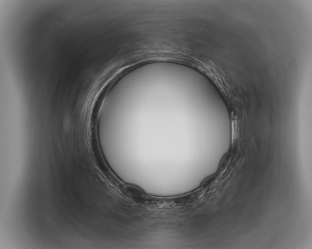 X0000116570243200912101009