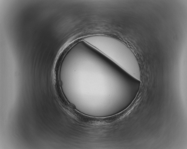 X0000116570246200912101009