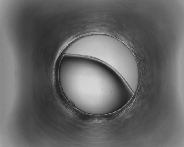 X0000116570248200912101009