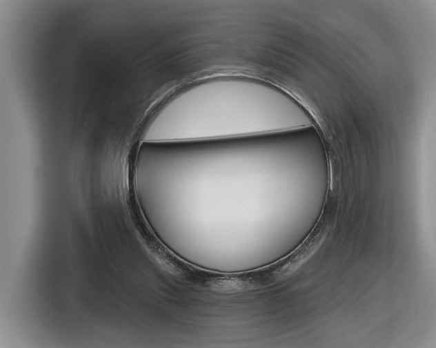 X0000116570253200912101009