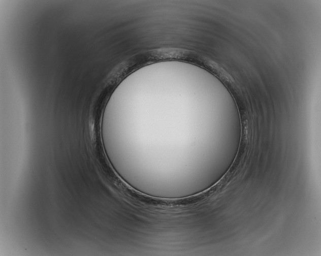 X0000116570254200912101009