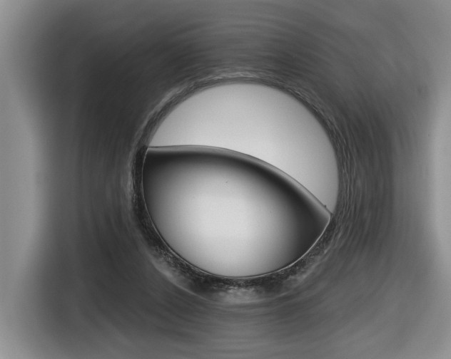 X0000116570256200912101009