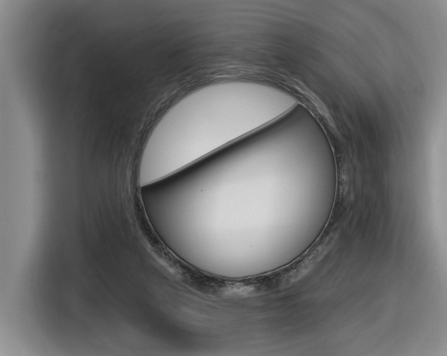 X0000116570257200912101009