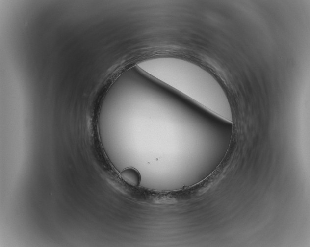 X0000116570258200912101009