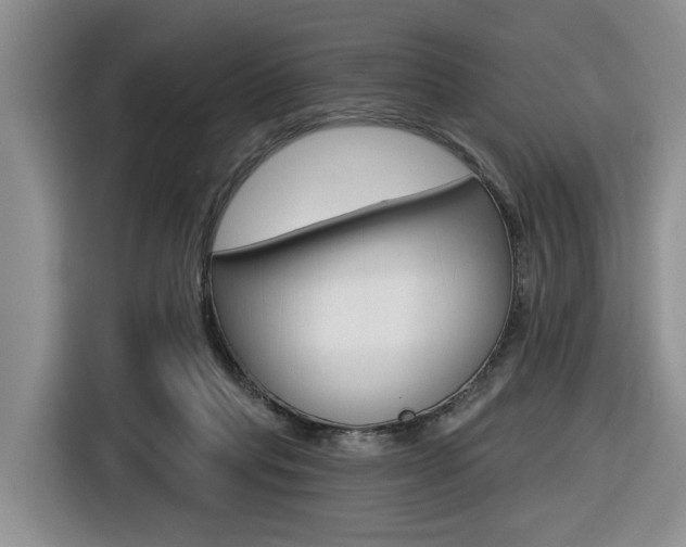 X0000116570261200912101009