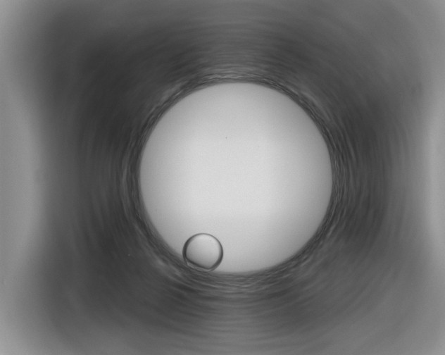 X0000116570264200912101009