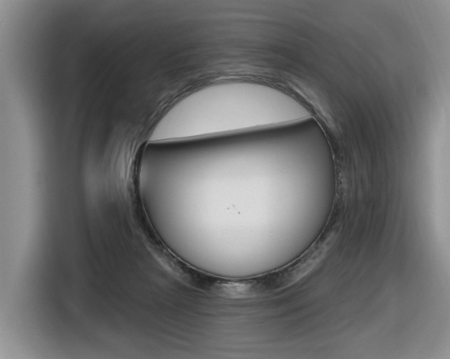 X0000116570265200912101009