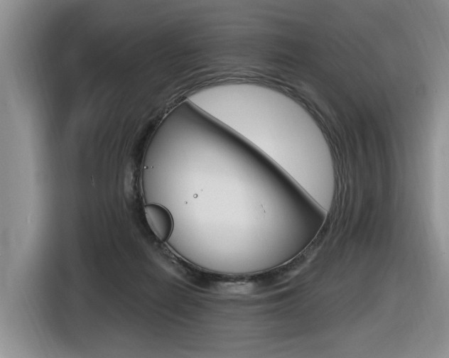 X0000116570266200912101009