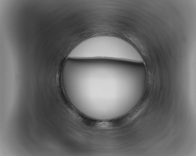 X0000116570269200912101009