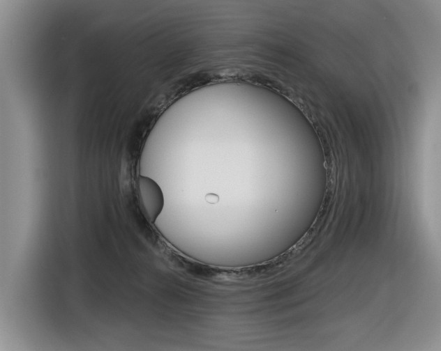 X0000116570272200912101009