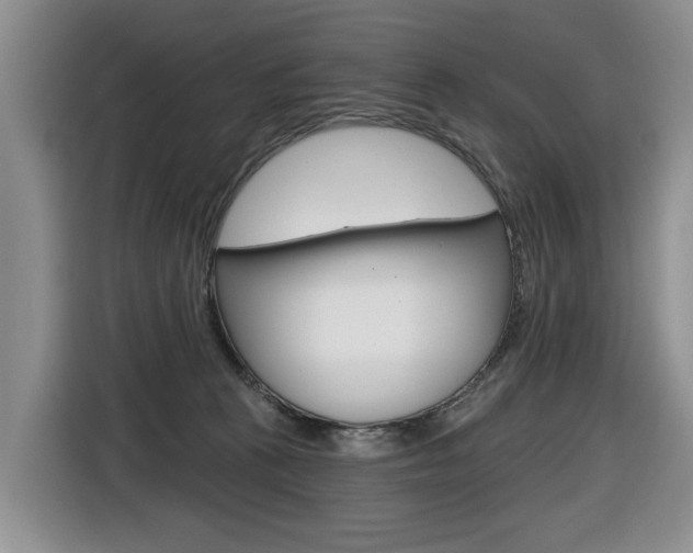 X0000116570273200912101009