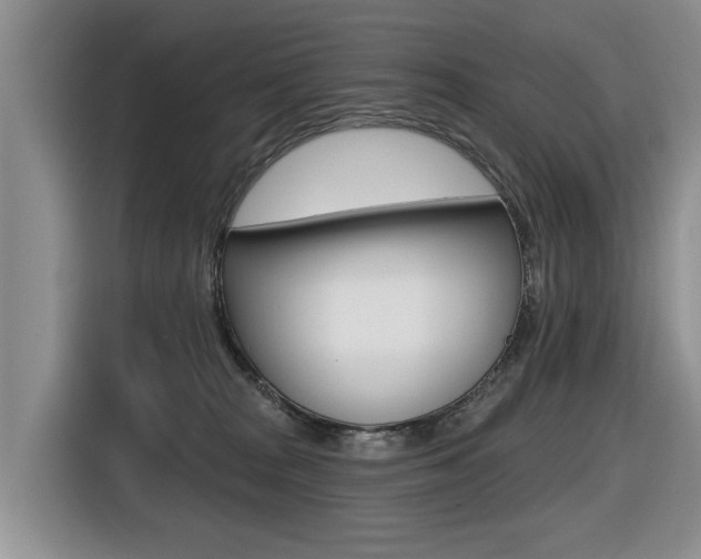 X0000116570277200912101009