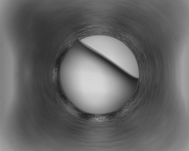 X0000116570278200912101009