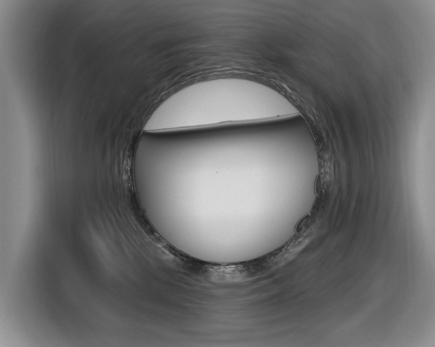 X0000116570281200912101009