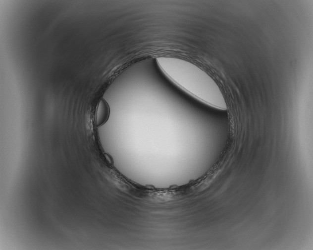 X0000116570282200912101009