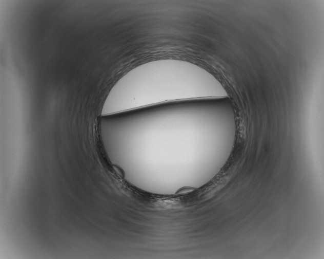 X0000116570283200912101009