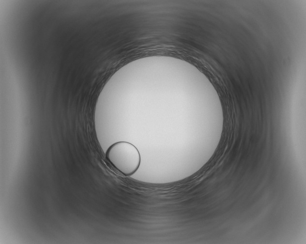 X0000116570284200912101009