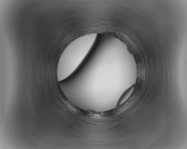 X0000116570285200912101009