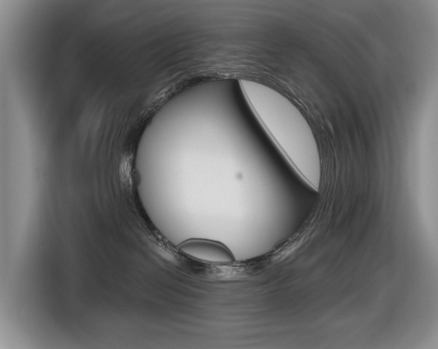 X0000116570286200912101009