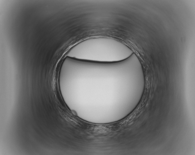 X0000116570290200912101009