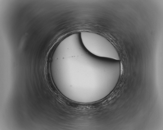 X0000116570291200912101009