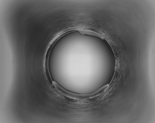 X0000116570292200912101009