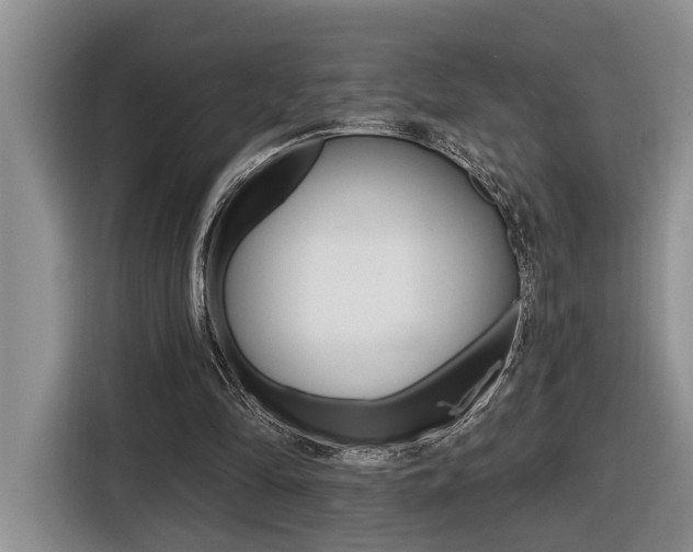 X0000116570294200912101009