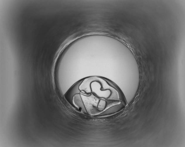 X0000116570296200912101009