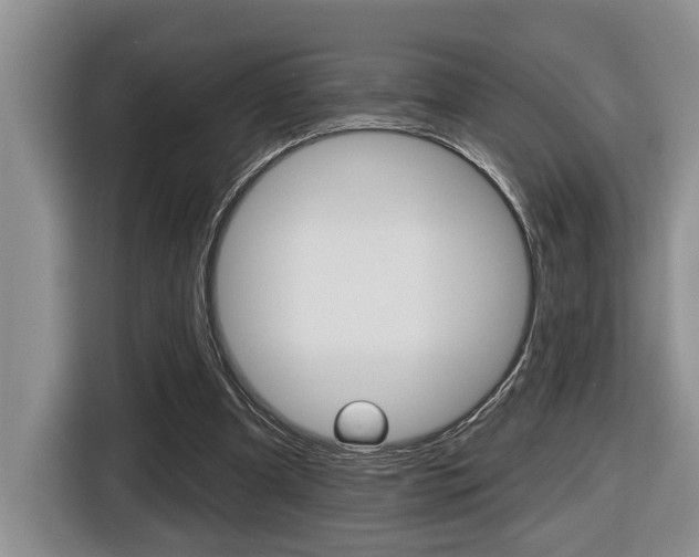 X0000116570297200912101009