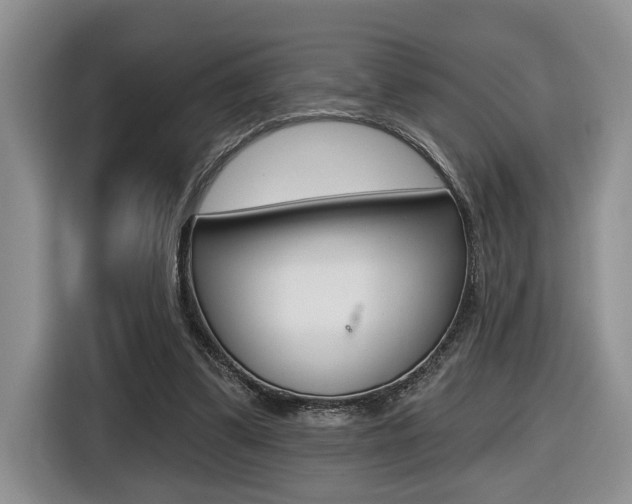 X0000116570299200912101009