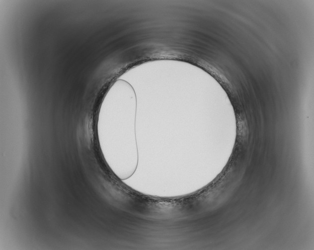 X0000116570302200912101009