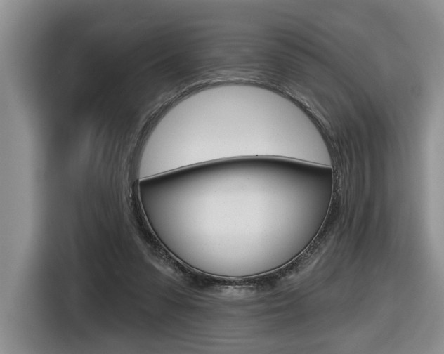 X0000116570303200912101009