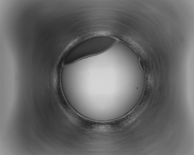 X0000116570304200912101009