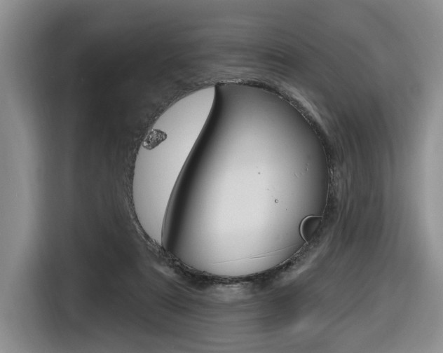 X0000116570307200912101009