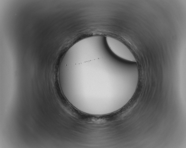 X0000116570311200912101009