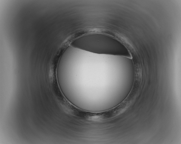 X0000116570312200912101009