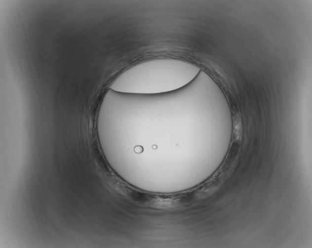 X0000116570314200912101008