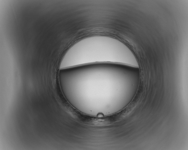 X0000116570315200912101008