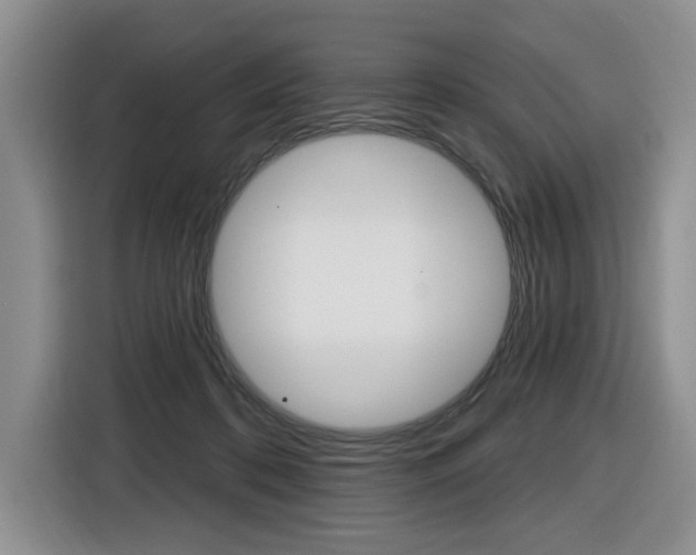 X0000116570316200912101008