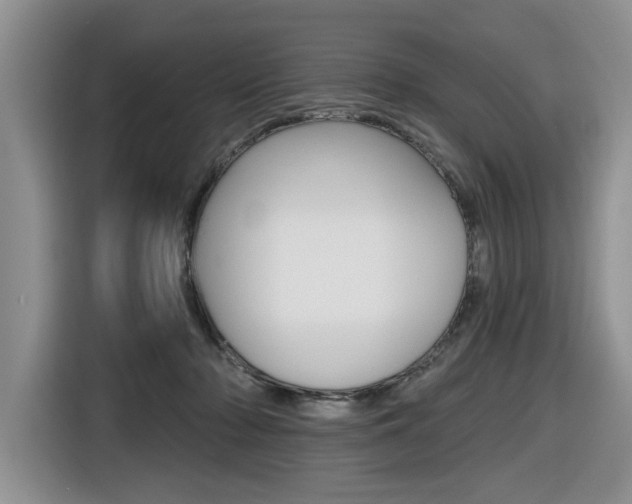 X0000116570318200912101008