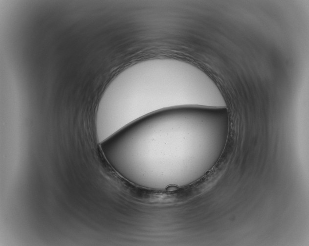 X0000116570319200912101008