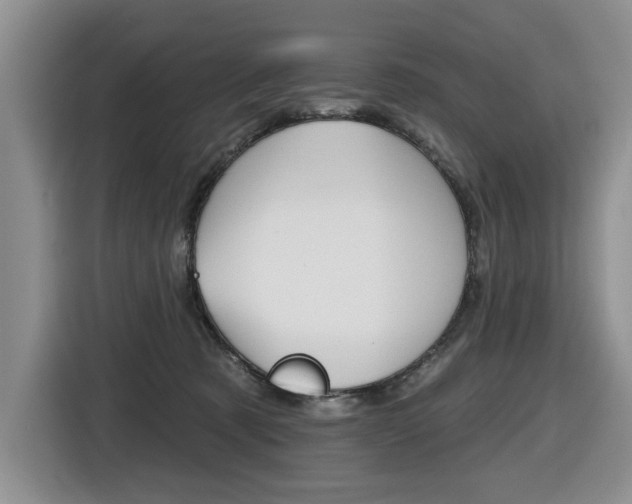 X0000116570321200912101008