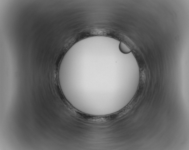 X0000116570322200912101008